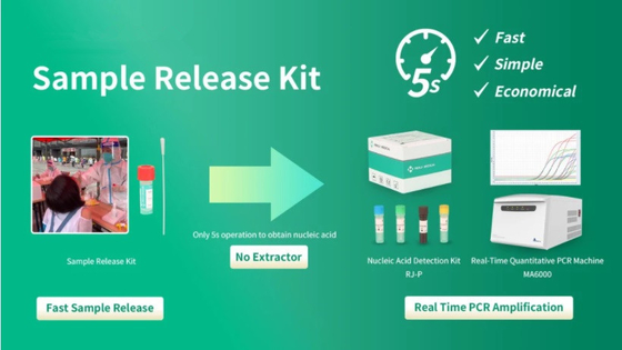 Thử nghiệm khuếch đại axit nucleic NAAT dùng một lần để phát hiện PCR