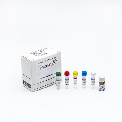 Bộ xét nghiệm PCR định lượng huỳnh quang thời gian thực Bộ kiểm tra di động 48 bộ / bộ