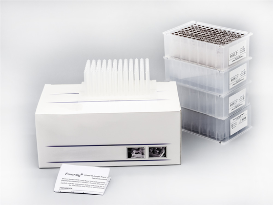 Bộ chiết xuất axit nucleic được chứng nhận SGS 48 Wells Sử dụng trong y tế