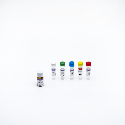 Phê duyệt CE Loại I RT PCR Bộ xét nghiệm nhanh Bộ phát hiện axit nucleic