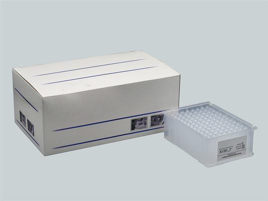Bộ tách chiết DNA RNA virus siêu vi khuẩn nhanh 64 Wells với chứng nhận CE
