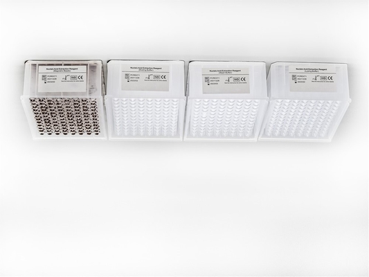 48 Wells Viral RNA Mini Kit chẩn đoán độ nhạy cao dùng một lần