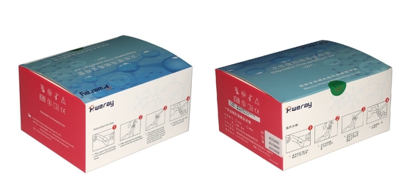 2ml VTM Viral Transport Media Kit Ngừng kích hoạt Không kích hoạt Lấy mẫu