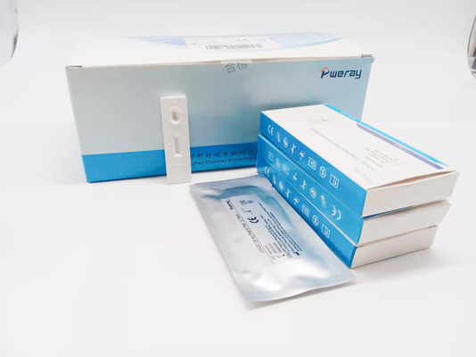 Được CE phê duyệt một bước Thử nghiệm khuếch đại axit nucleic PCR Thử nghiệm NAAT Gạc nước bọt
