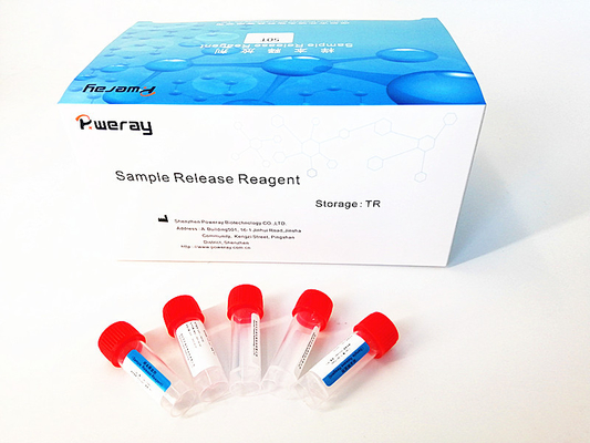 Bộ phát hiện PCR siêu vi RNA trong mũi với ISO 13485
